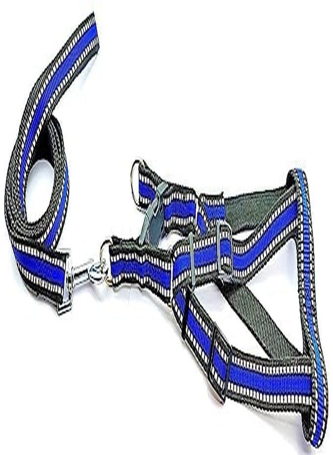 RoverPets Reflective Nylon Dog Harness & Leash Set | 0.75 Inch Adjustable Strap with Stainless Steel Hook | Durable Outdoor Walking Gear for Puppies & Dogs (Blue) - Image 1